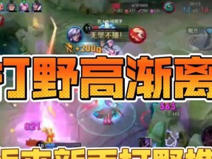 高渐离打野出装攻略大全（高渐离如何选择最适合的出装？攻略解析！）