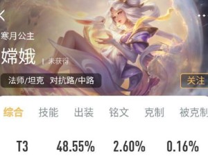 《洪武最强出装攻略》（一探洪武如何打造无敌装备！）
