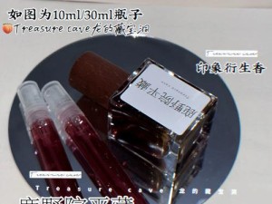 《小鹿养成攻略原神角色，轻松玩转游戏！》（以小鹿为伙伴，助你成为原神角色高手！）