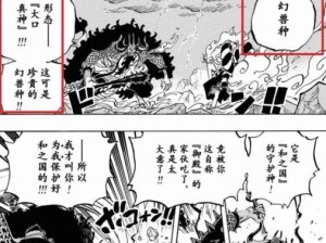 打造平民最强海贼王和之国阵容（阵容搭配攻略及装备推荐）