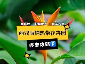 停车达人4攻略（玩转停车达人4，成为真正的停车达人！）