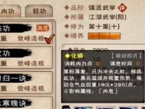 《烟雨江湖玄冥经》武学属性及出处攻略（揭秘游戏中最神秘的武学）