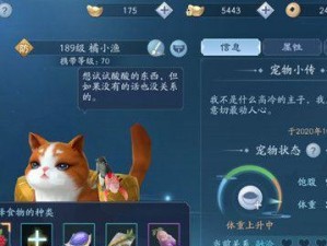 《花剑奇遇记》——以花与剑胭脂钱袋任务攻略（解密任务流程，升级角色实力，赚取丰厚奖励）
