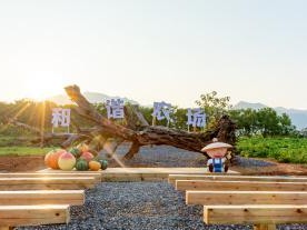 兰花小镇游戏攻略（一步步揭开兰花小镇的秘密，成为顶级花农的秘籍）