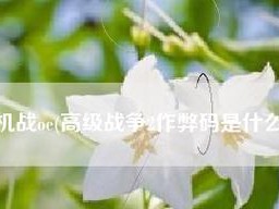 征战黑洞基地（深入剖析游戏关卡、技巧和策略，助你成为终极机战玩家！）