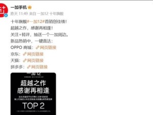 《元气偶像季李杰》图鉴详解（探索元气世界，打造专属偶像）