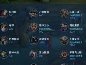 风暴闪电英雄出装攻略（掌握出装技巧，成为巅峰玩家）