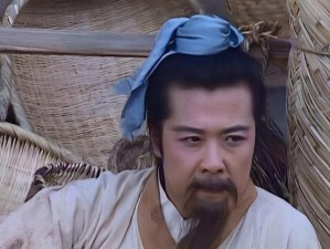 汉室中兴录王道攻略（以历史为鉴，展望未来）