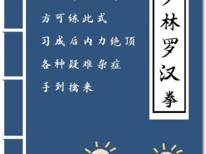 《烟雨江湖罗汉拳》（罗汉拳招式效果展示，让你感受到真正的江湖气息）