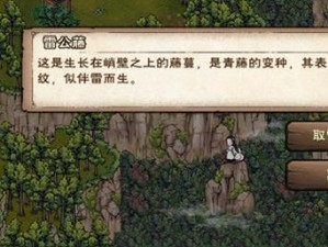 玩转烟雨江湖（跟着攻略一步步闯荡江湖，体验一场恢弘的武侠之旅）