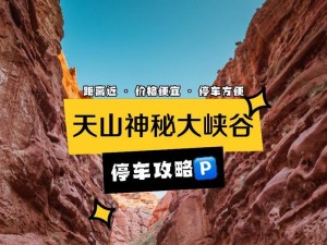 停车达人4攻略（从小白到高手，一起来掌握停车技巧吧！）