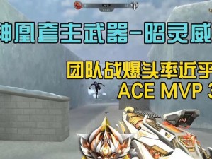 神凰副武器技能搭配攻略（让你的副武器发挥出最大威力的技能搭配秘籍）