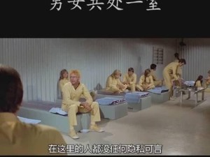 揭秘游戏中的奇葩监狱攻略（游戏中的囚徒生存之道与逃狱指南）