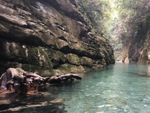 峡谷飙车攻略（峡谷飙车出装攻略，助你快速登顶冠军宝座）