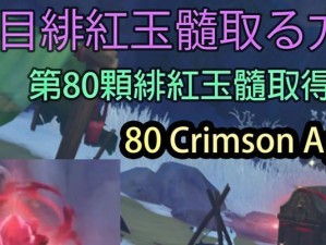 《探秘原神雪山玉髓》（发现玉髓的神秘力量，解锁隐藏的宝藏）