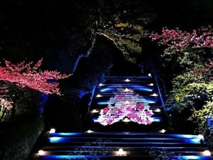 相思花见攻略（解密相思花的特点、栽培技巧以及鉴赏价值）