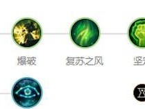 《最强狗头出装铭文攻略》（揭秘狗头如何选择出装与铭文，助你登顶最强王者！）