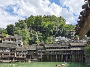 勇者凤凰牧的玩法攻略（从入门到高级，掌握凤凰牧的技能和策略，成为无敌的勇者！）