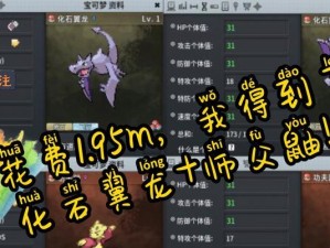 用化石翼龙必出食谱制作宝可梦大探险美食（探寻宝可梦世界，从味觉出发）