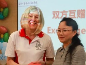 《跨越星弧英雄大全》所有角色属性喜好图鉴详解（探寻星弧英雄的属性偏好，打造最强阵容）