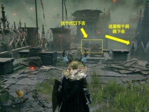 艾尔登法环（如何用最佳策略完成任务）