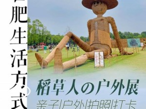 稻草人游戏攻略（解谜迷局，探索未知之境）