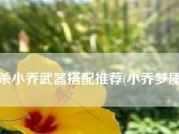 天美出装攻略大揭秘（深入解析天美游戏的最佳出装策略，助你在游戏中取得优势）