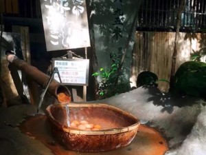 温泉烟雾游戏攻略（解锁游戏迷局，掌握关键线索，轻松通关迷雾之旅）